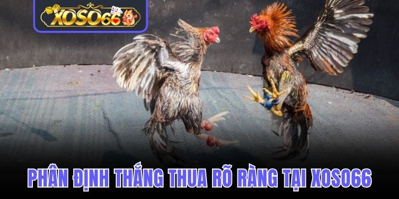 Luật phân định thắng thua rõ ràng tại Xoso66